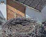 Capi_Dubne_20260904_155003.jpg