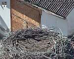 Capi_Dubne_20260904_155502.jpg
