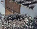 Capi_Dubne_20260904_162002.jpg