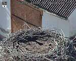 Capi_Dubne_20260904_163503.jpg
