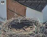 Capi_Dubne_20260904_180502.jpg