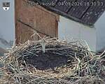 Capi_Dubne_20260904_183003.jpg