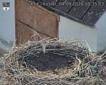 Capi_Dubne_20260904_183503.jpg