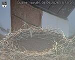 Capi_Dubne_20260904_185003.jpg
