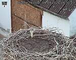 Capi_Dubne_20260904_193003.jpg