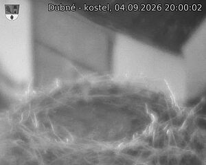 Capi_Dubne_20260904_200002.jpg (1350&nbsp;x&nbsp;1080)