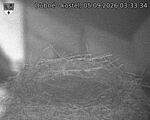 Capi_Dubne_20260905_033334.jpg