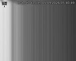 Capi_Dubne_20260905_054049.jpg