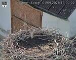 Capi_Dubne_20260905_180002.jpg