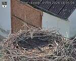 Capi_Dubne_20260905_180504.jpg