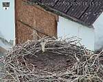 Capi_Dubne_20260905_181503.jpg