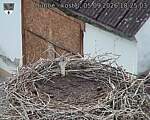 Capi_Dubne_20260905_182503.jpg