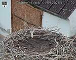 Capi_Dubne_20260905_184002.jpg