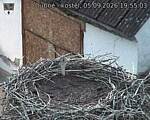 Capi_Dubne_20260905_195503.jpg