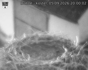 Capi_Dubne_20260905_200002.jpg (1350&nbsp;x&nbsp;1080)