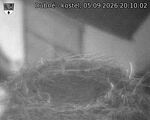 Capi_Dubne_20260905_201002.jpg