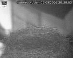 Capi_Dubne_20260905_203003.jpg