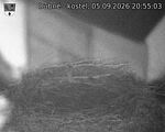 Capi_Dubne_20260905_205503.jpg