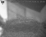Capi_Dubne_20260905_212503.jpg