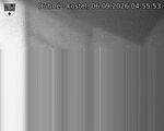Capi_Dubne_20260906_045553.jpg