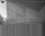 Capi_Dubne_20260907_022147.jpg