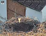 Capi_Dubne_20260907_064503.jpg
