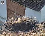 Capi_Dubne_20260907_065503.jpg