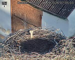 preload