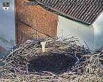 Capi_Dubne_20260907_071003.jpg