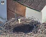Capi_Dubne_20260907_071503.jpg