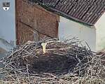 Capi_Dubne_20260907_072003.jpg
