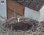 Capi_Dubne_20260907_072503.jpg