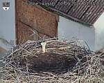 Capi_Dubne_20260907_073503.jpg