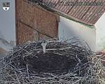 Capi_Dubne_20260907_080504.jpg