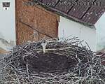 Capi_Dubne_20260907_083002.jpg