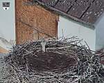 Capi_Dubne_20260907_103002.jpg