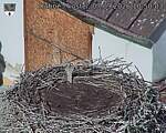 Capi_Dubne_20260907_105003.jpg
