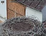 Capi_Dubne_20260907_125002.jpg