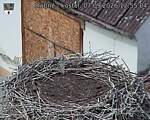Capi_Dubne_20260907_125504.jpg