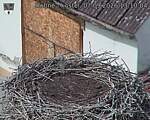 Capi_Dubne_20260907_131004.jpg