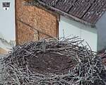 Capi_Dubne_20260907_131504.jpg