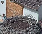 Capi_Dubne_20260907_133003.jpg