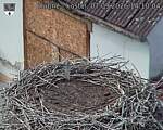 Capi_Dubne_20260907_141004.jpg