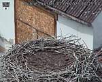 Capi_Dubne_20260907_142504.jpg