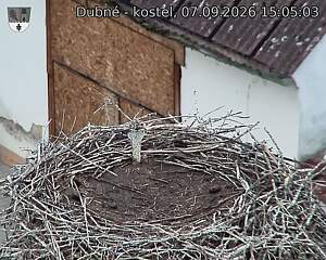 preload