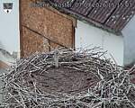 Capi_Dubne_20260907_151503.jpg