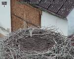 Capi_Dubne_20260907_171504.jpg