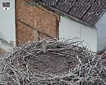 Capi_Dubne_20260907_172503.jpg