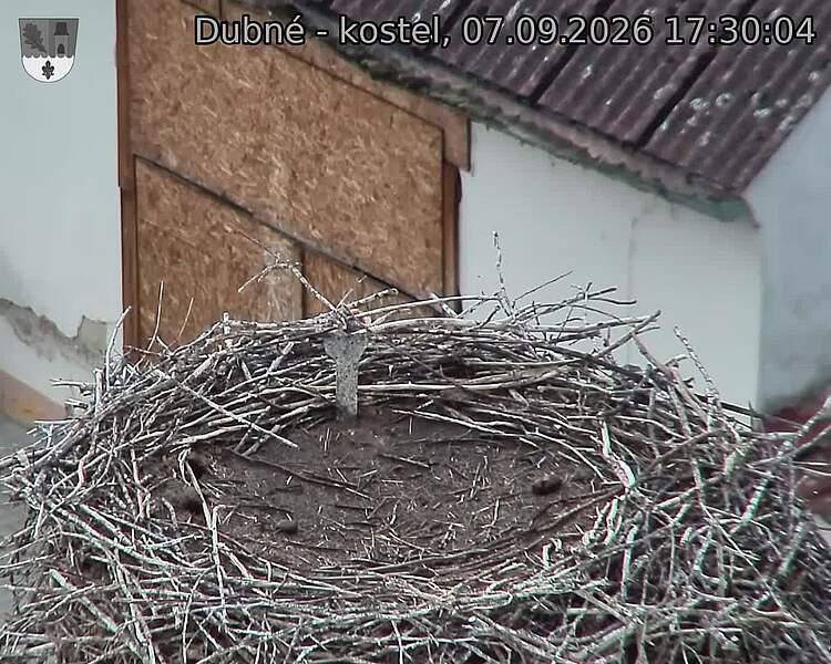 preload