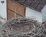 Capi_Dubne_20260907_173503.jpg